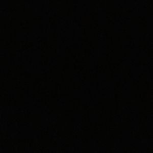 Meet your Posher, Jackson